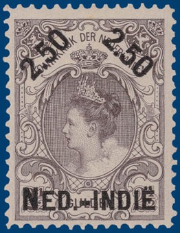 Kavel 4856