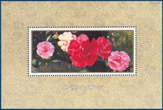 Kavel 568