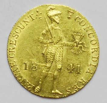 Kavel 1195