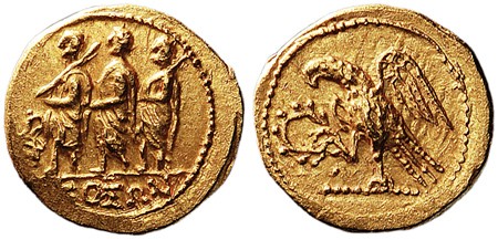Kavel 523