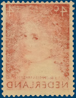 Kavel 2782