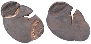 Lot 229