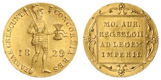 Kavel 581