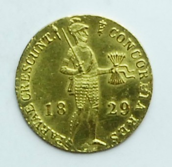 Kavel 582