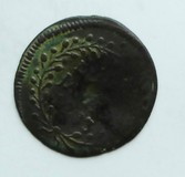 Lot 686