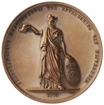 Lot 797