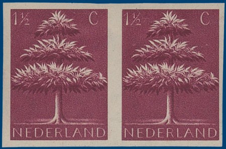 Lot 2455