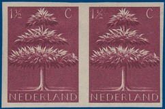 Lot 2455