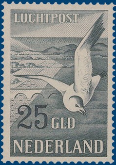 Kavel 2537