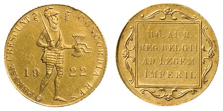 Kavel 894
