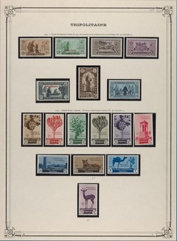 Kavel 1464
