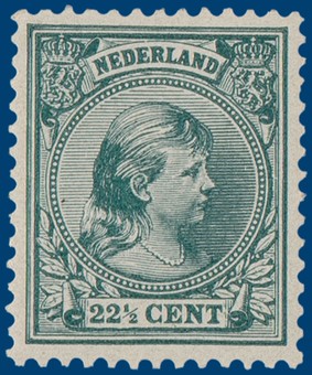 Kavel 2654