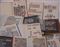 Lot 781