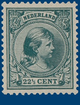 Kavel 2655