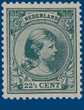 Kavel 2655