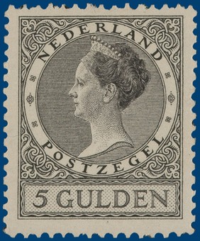 Kavel 2797