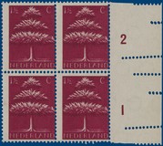 Lot 2832