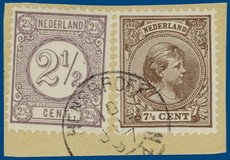 Lot 813