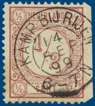 Kavel 1137