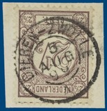 Lot 1155
