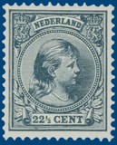 Kavel 4137