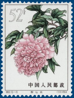 Lot 2521