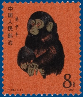 Kavel 2544