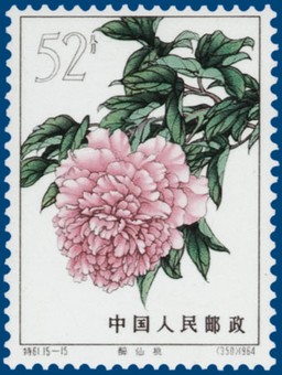 Kavel 2522