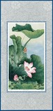 Lot 2545