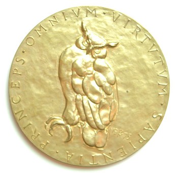 Kavel 242