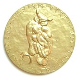 Kavel 242