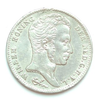 Lot 981