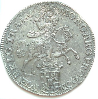 Lot 564