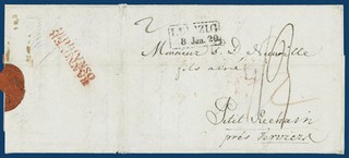 Lot 304