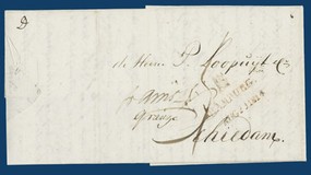 Lot 337