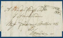 Lot 382