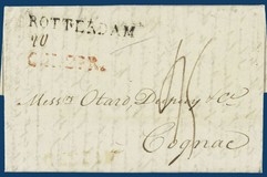 Lot 55