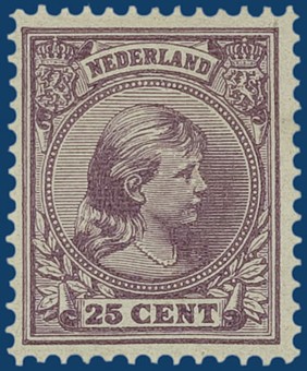 Kavel 4081