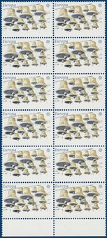 Kavel 4172