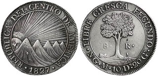 Lot 969