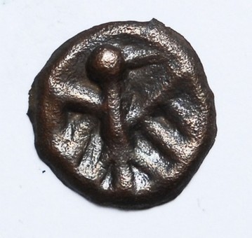 Kavel 307