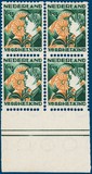 Lot 510