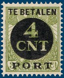 Lot 517