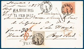 Lot 1619