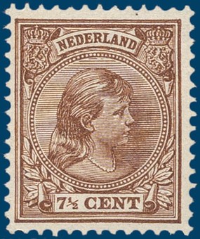 Kavel 336