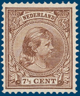 Kavel 337