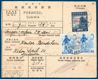 Lot 237