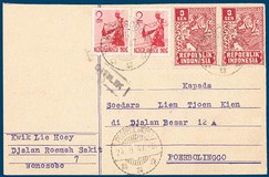 Lot 243