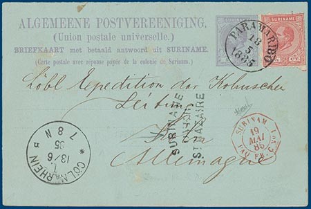 Lot 2497