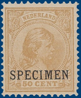 Lot 3117